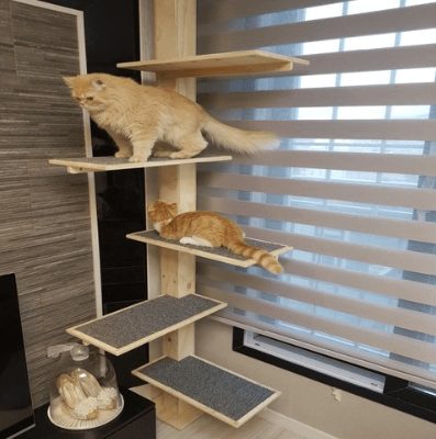 아크퍼니처 DIY 고양이 원목 캣폴 타워