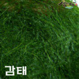 감태 추천 및 가격 비교 장단점 정리