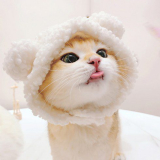 강아지모자 추천 및 가격 비교 장단점 정리