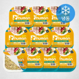 강아지화식 추천 이유 및 특징 정리