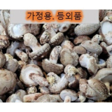 다발방패버섯 포토 가성비 최고 아이템 TOP10 가격 비교 정리