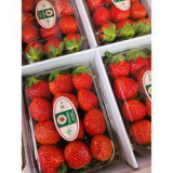 딸기모종 구매 방법 정보 공유