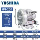 링브로워가격 올해 화제의 아이템