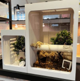 파충류 사육장 추천 TOP5-도마뱀, 거미, 거북이, 뱀