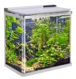 아마존어항 곡유리 아쿠아리움 제품 장단점