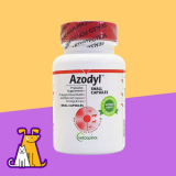 아조딜 가성비 최고 아이템 TOP10 가격 비교 정리