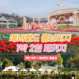 용인애버랜드 자유이용권 추천 TOP9 가격 비교 정리