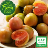 우듬지팜 추천 TOP14 가격 비교 정리