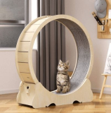 캣휠 추천 TOP3 – 무소음 고양이 런닝머신 운동 기구