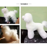 전신강아지몰드 추천 TOP12 만족스러운 상품 소개