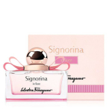 제레드페브5 종류 및 추천 TOP8 완벽 가이드