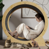 캣휠 추천 및 가격 비교 장단점 정리