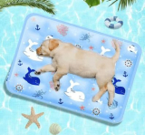 강아지 쿨매트 추천 Best5: 여름철 반려동물 쿨방석