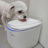 강아지 고양이 자동급수기 추천 TOP5