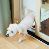 펫도어 종류 및 추천 TOP9 완벽 가이드