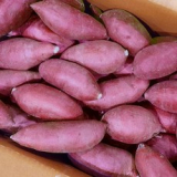 해나미 애플구마 추천 TOP11 최고의 가치를 제공하는 상품