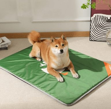 요기쏘 대형견 쿨매트