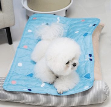 마이또 반려동물 쿨매트