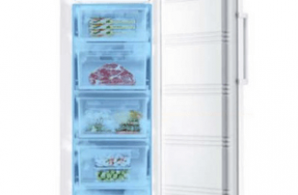 삼성전자 냉동고 수직형