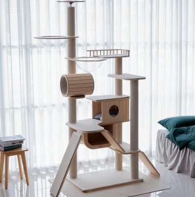 가르르 원목 고양이 캣폴 갤럭시 캣타워
