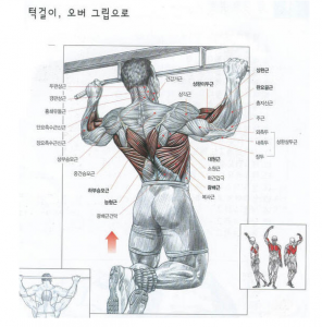 철봉 턱걸이 운동효과