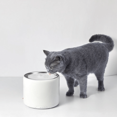 강아지 고양이 자동급수기